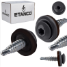 Etanco Stoginiai savisriegiai 4,8×20mm TORX skarda/skarda